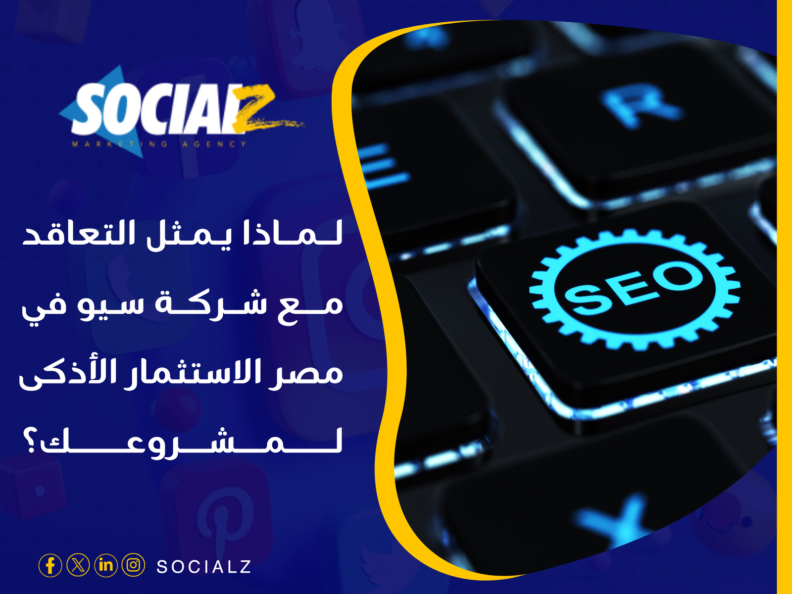 شركة سيو في مصر